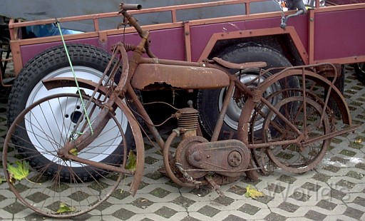 OldiesVet 075.jpg